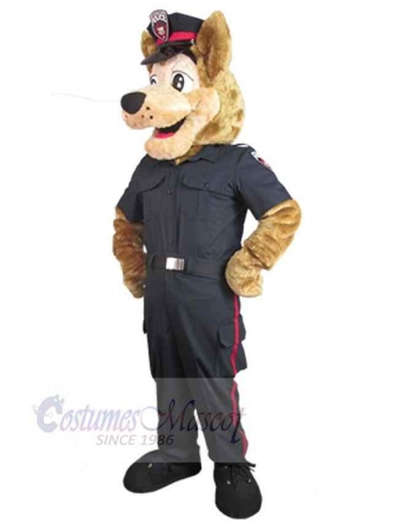 Wolf mascot costume