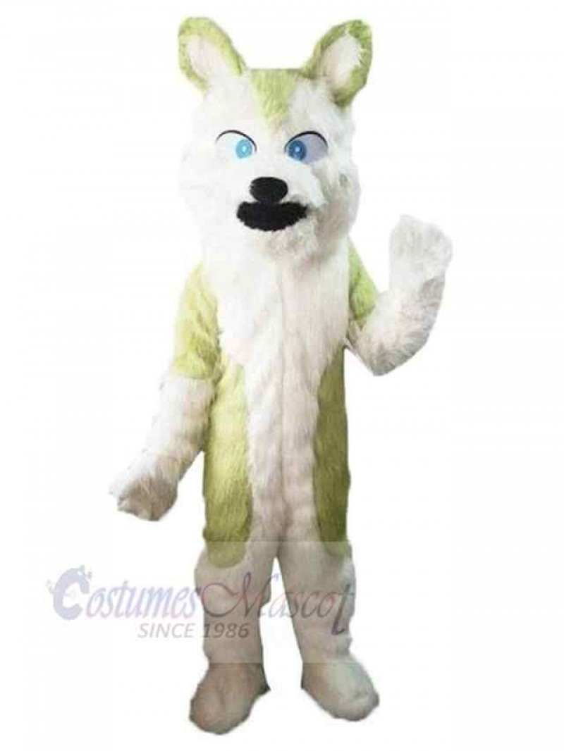 Wolf mascot costume