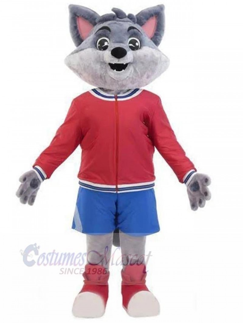 Wolf mascot costume