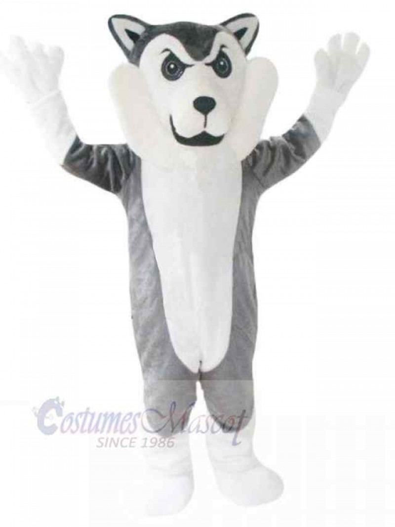 Wolf mascot costume