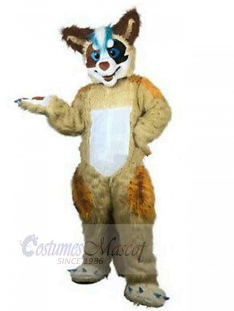 Wolf mascot costume