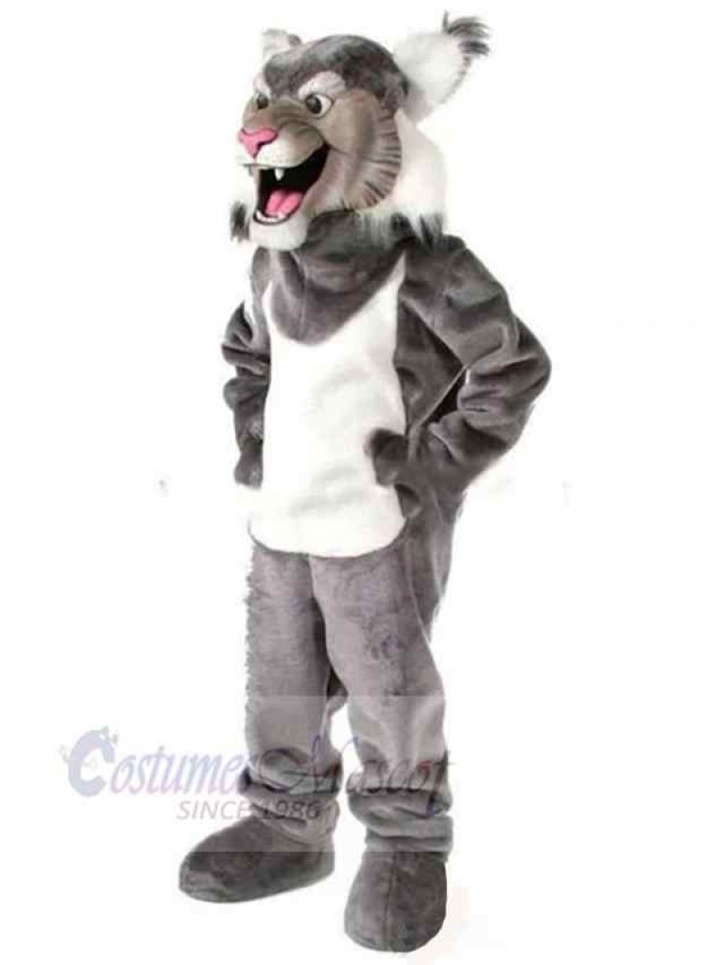 Wolf mascot costume