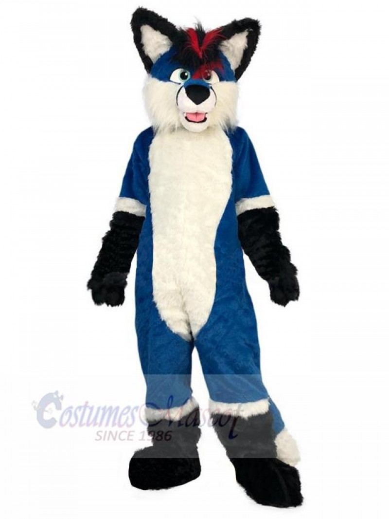 Wolf mascot costume