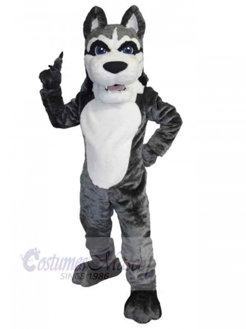 Wolf mascot costume