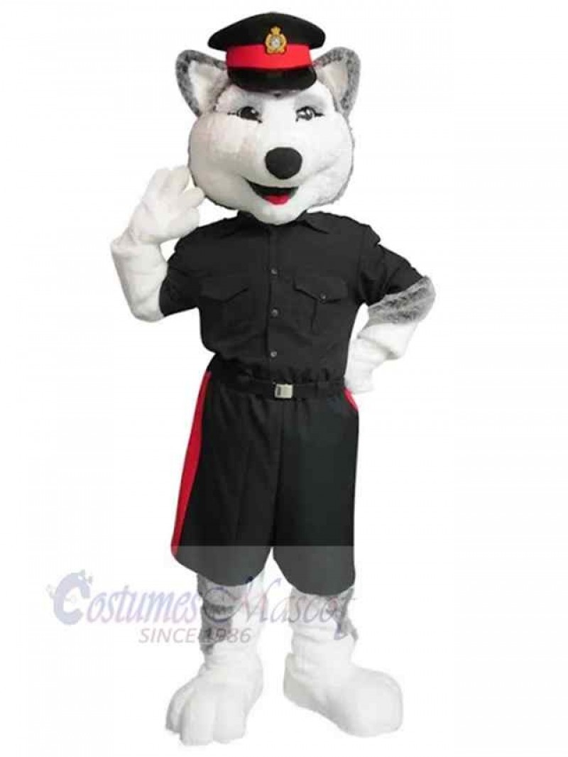 Wolf mascot costume