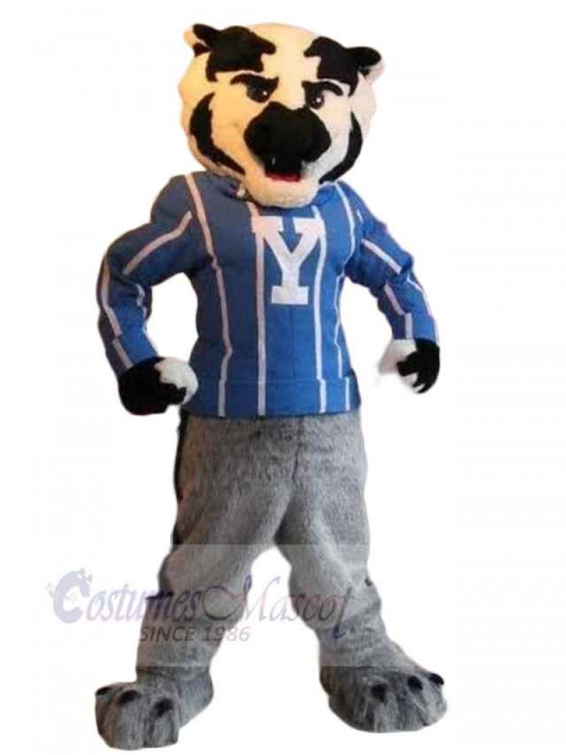 Tiger mascot costume