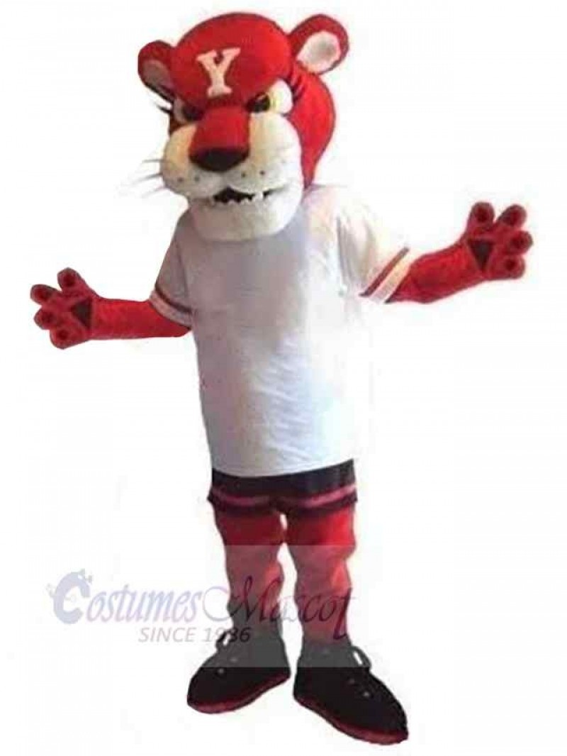 Tiger mascot costume