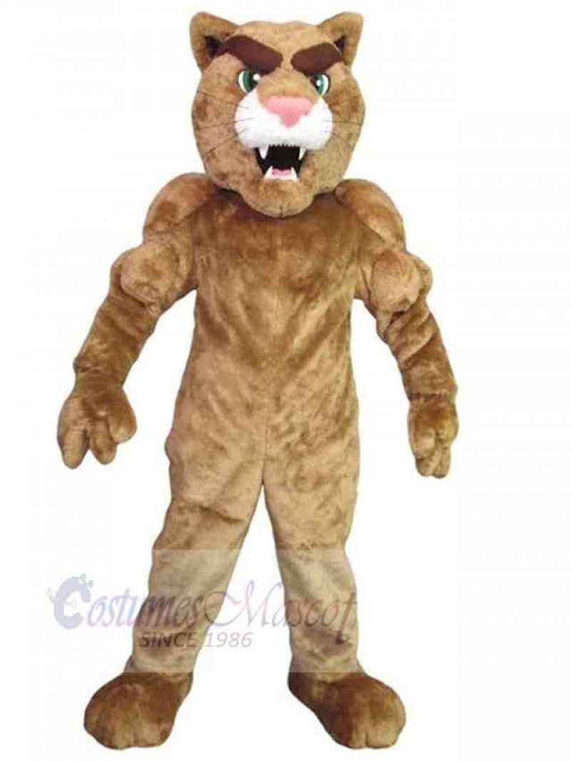Lion mascot costume