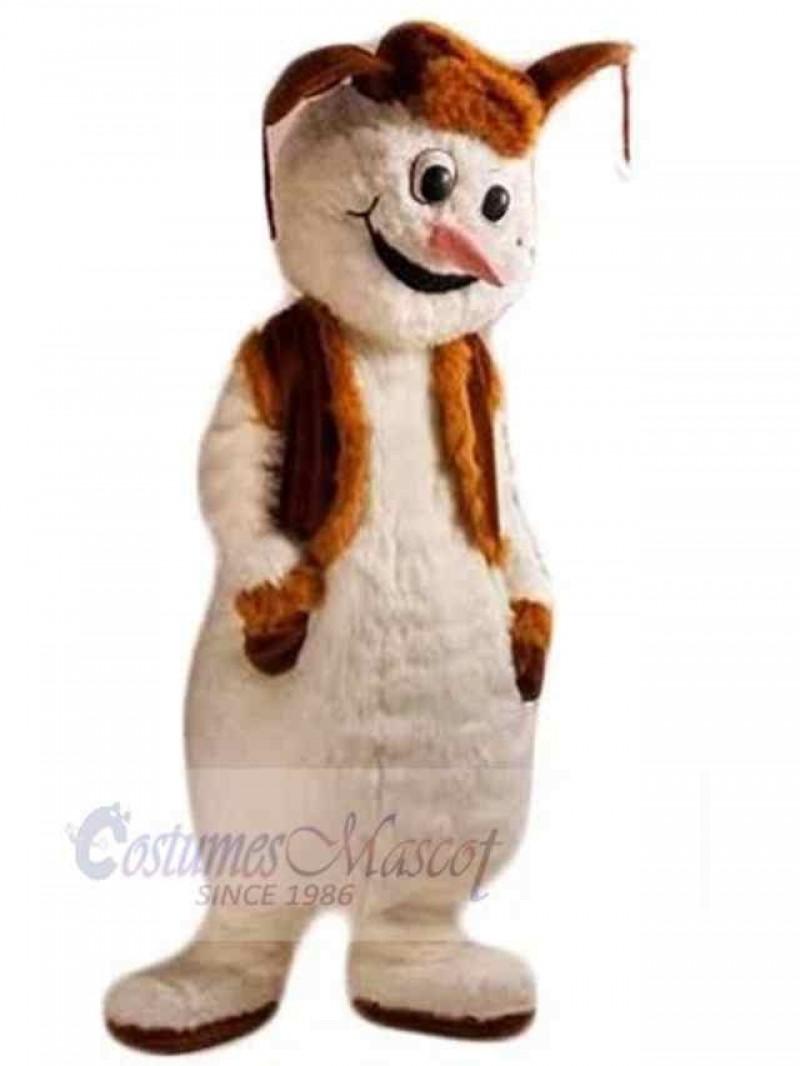 Snowman mascot costume