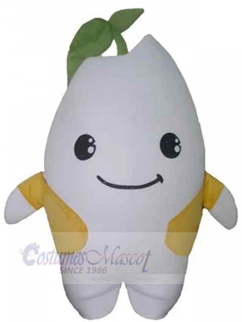 Snowman mascot costume