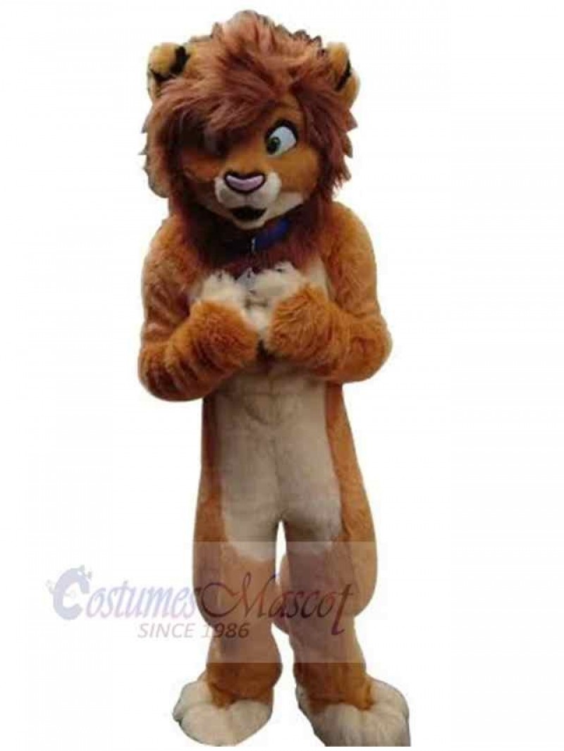 Lion mascot costume