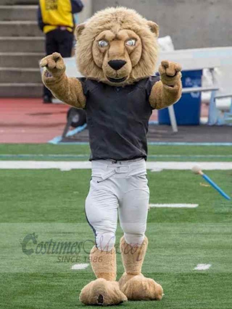 Lion mascot costume