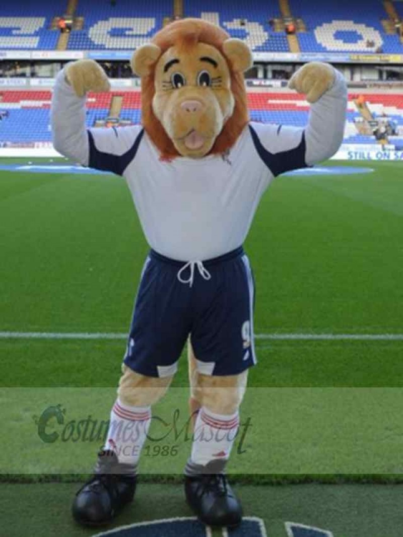 Lion mascot costume