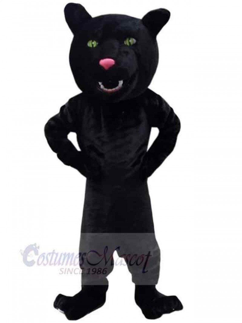 Panther mascot costume