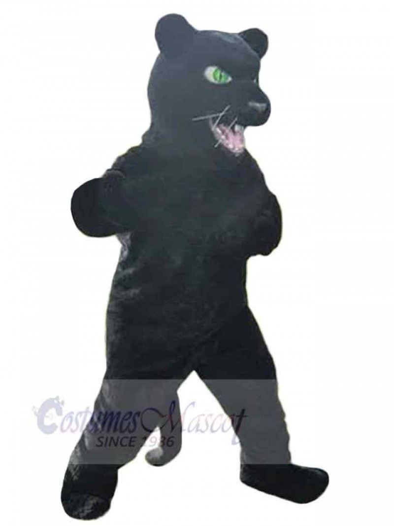 Panther mascot costume