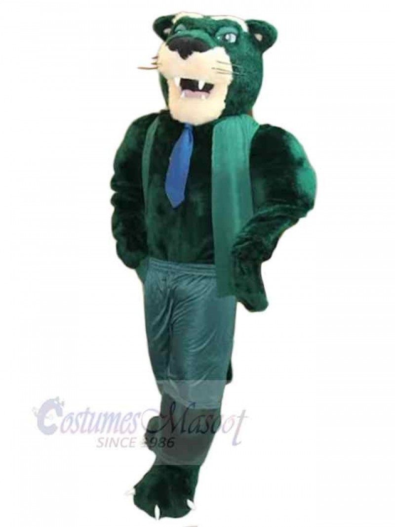 Panther mascot costume