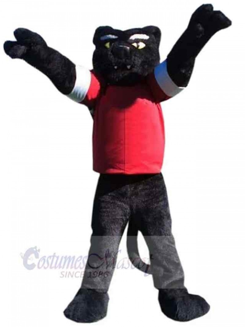 Panther mascot costume