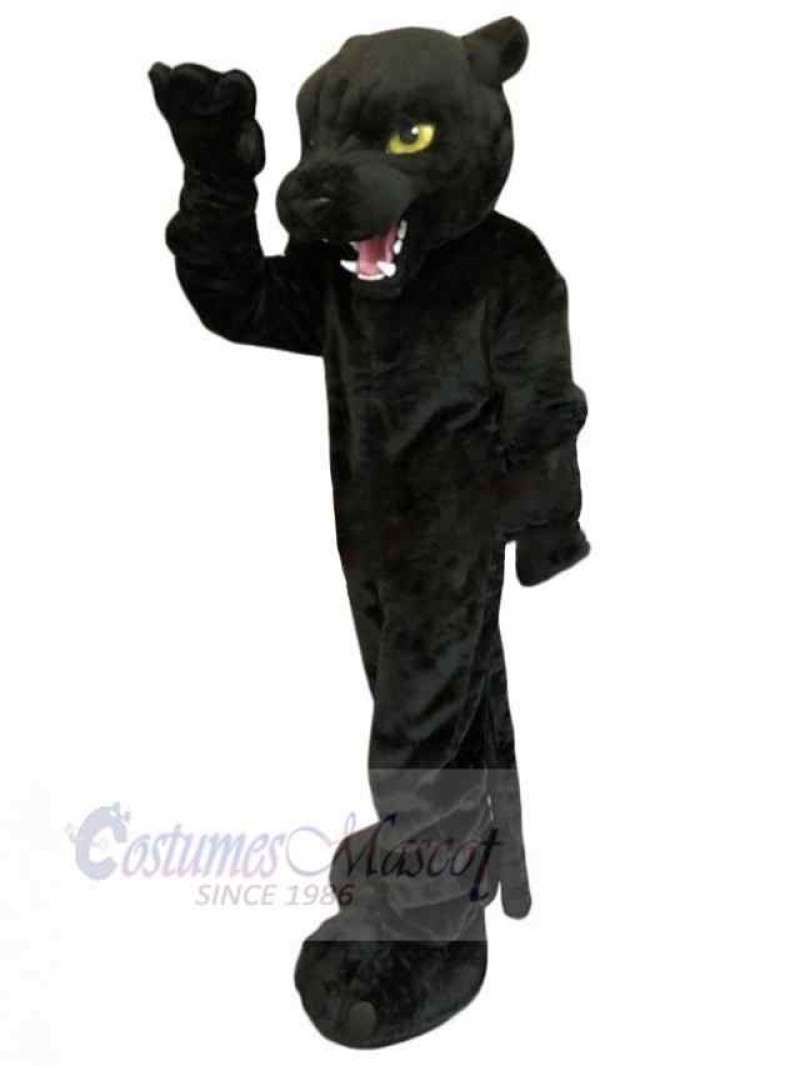 Panther mascot costume