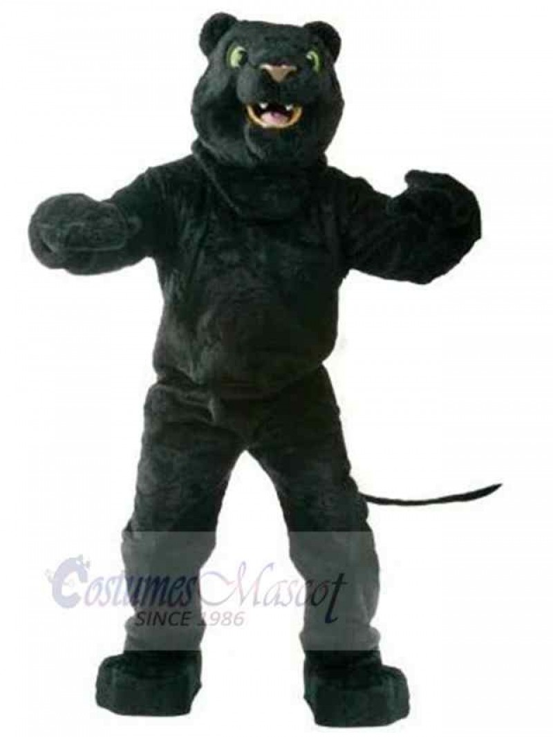 Panther mascot costume