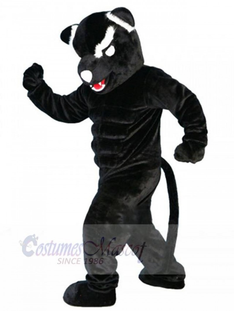 Panther mascot costume