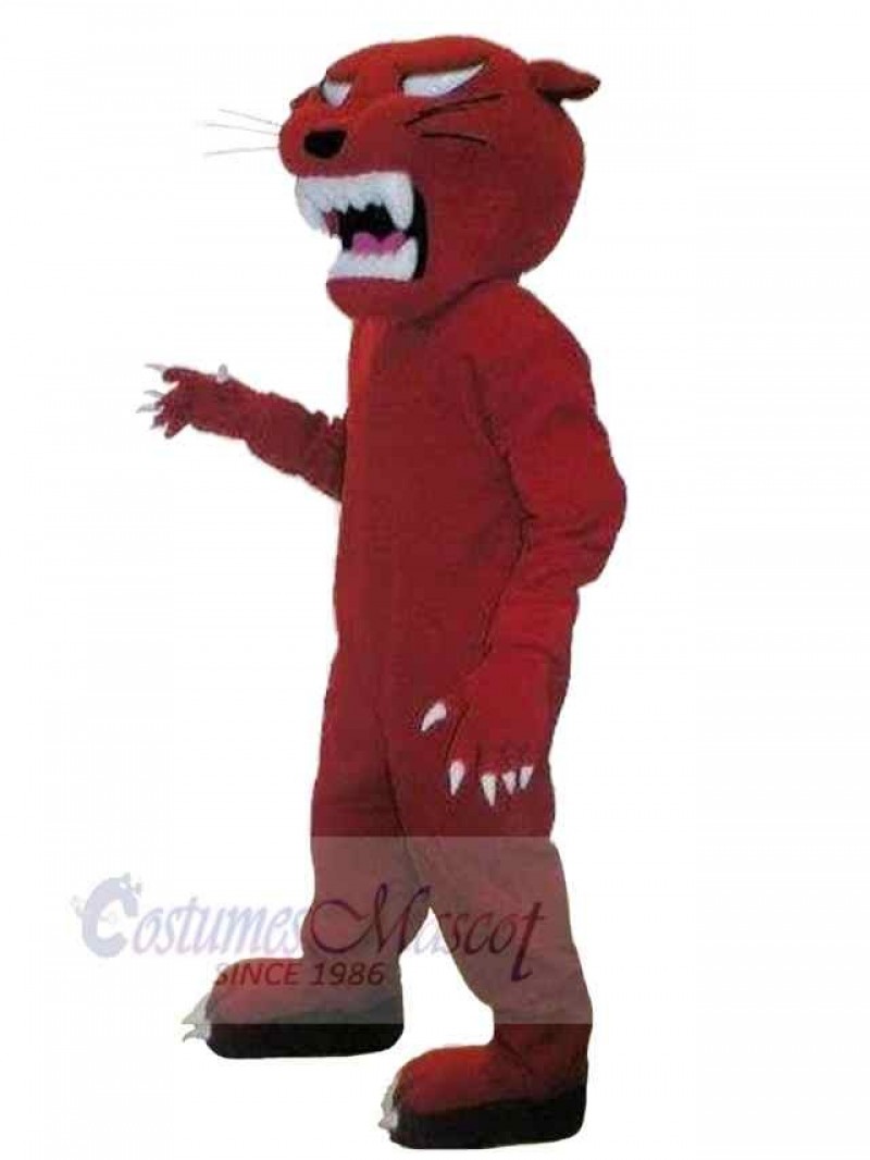 Panther mascot costume