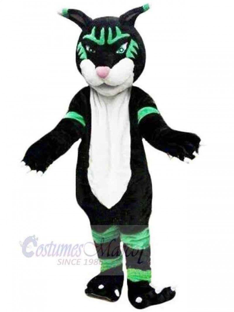 Panther mascot costume