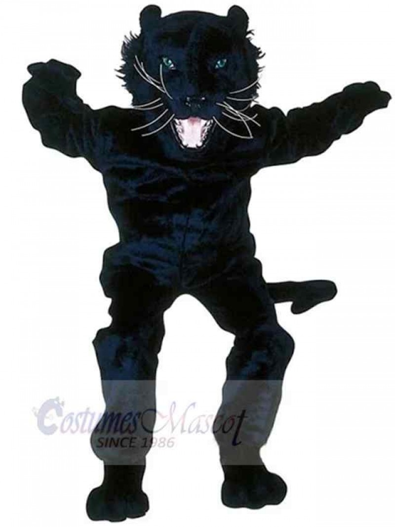 Panther mascot costume