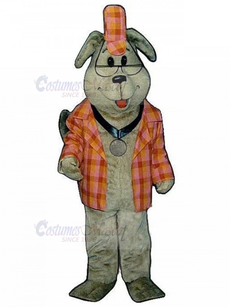 Dog mascot costume