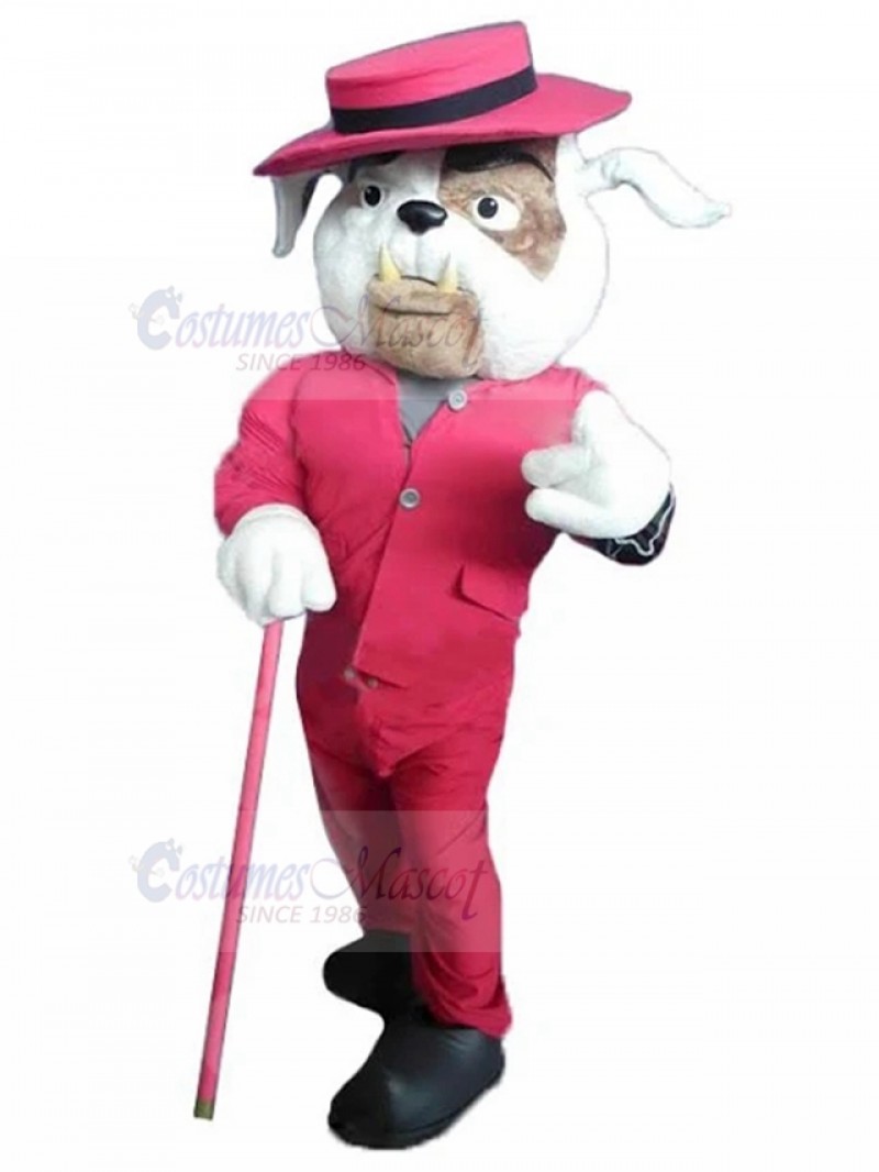 Dog mascot costume