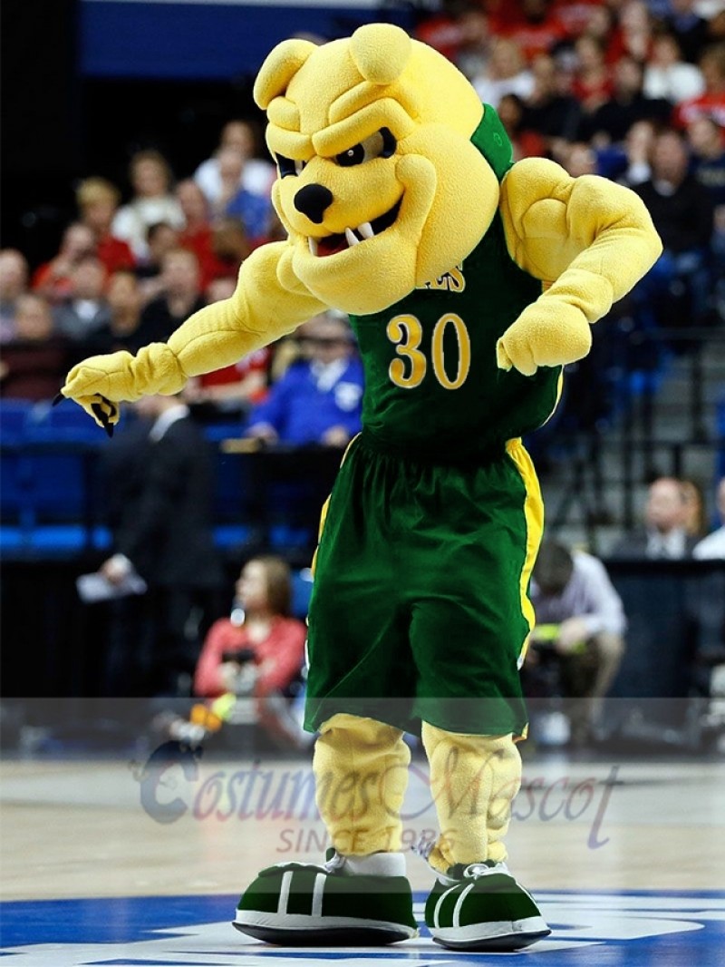 Bulldog mascot costume
