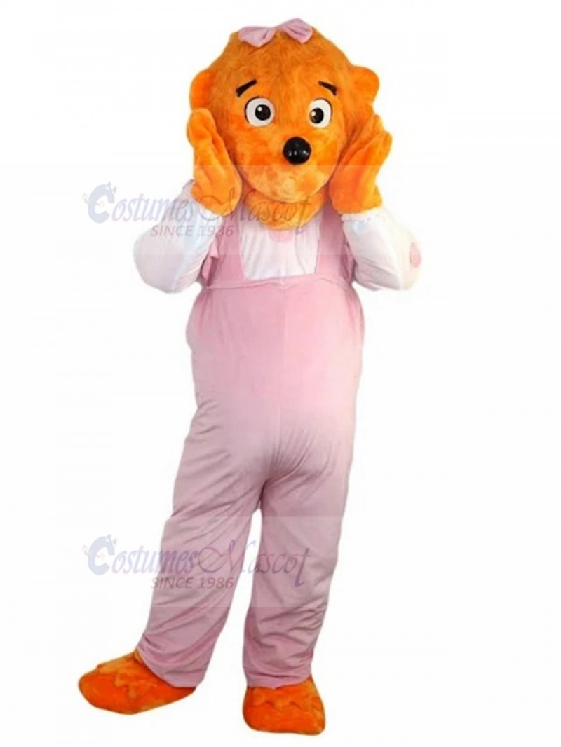 bear mascot costume