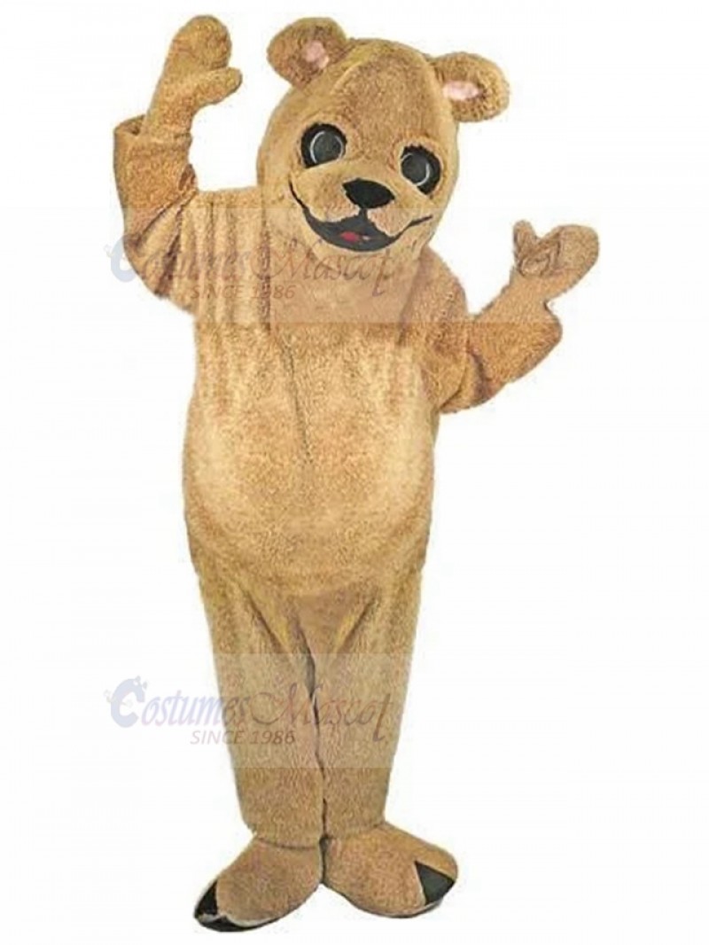 Bear mascot costume