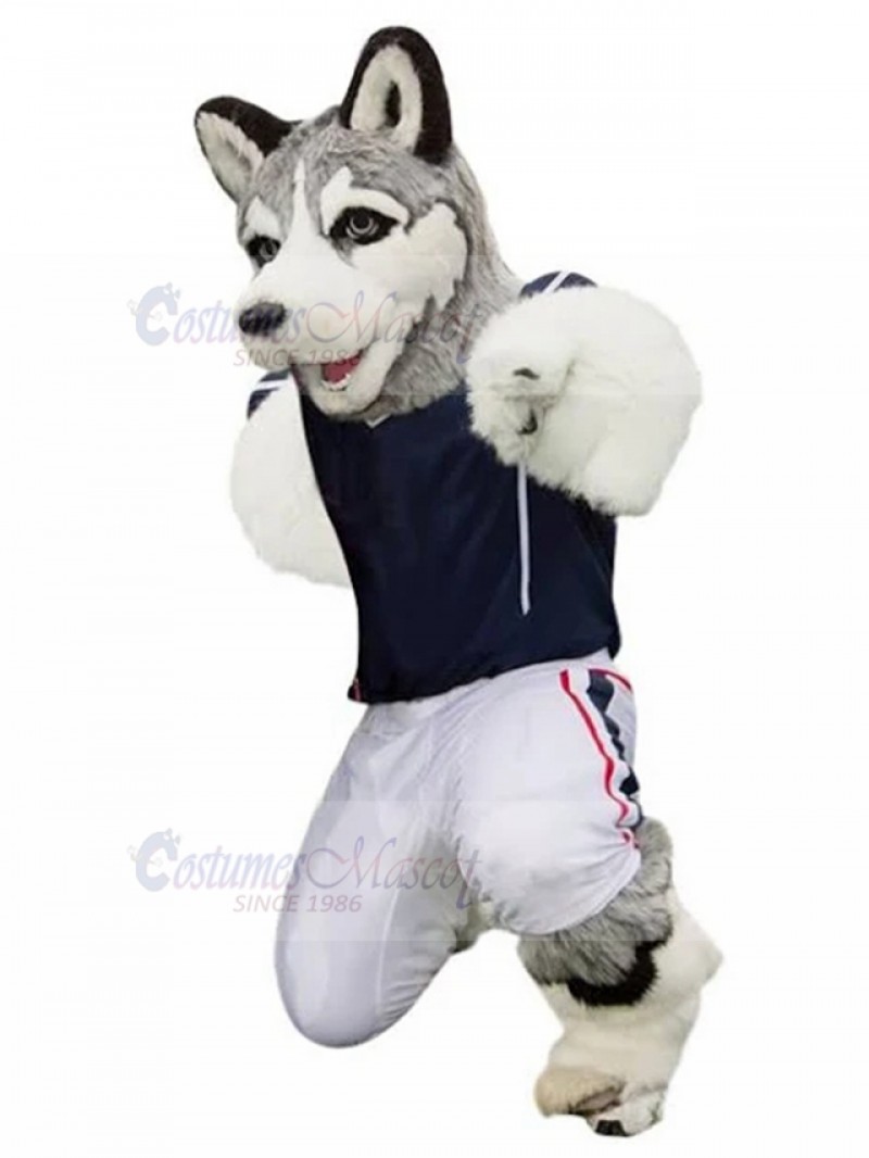 Dog mascot costume