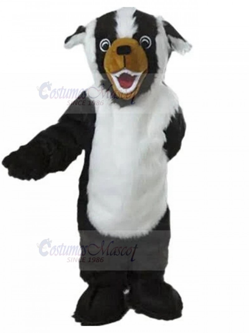 Dog mascot costume