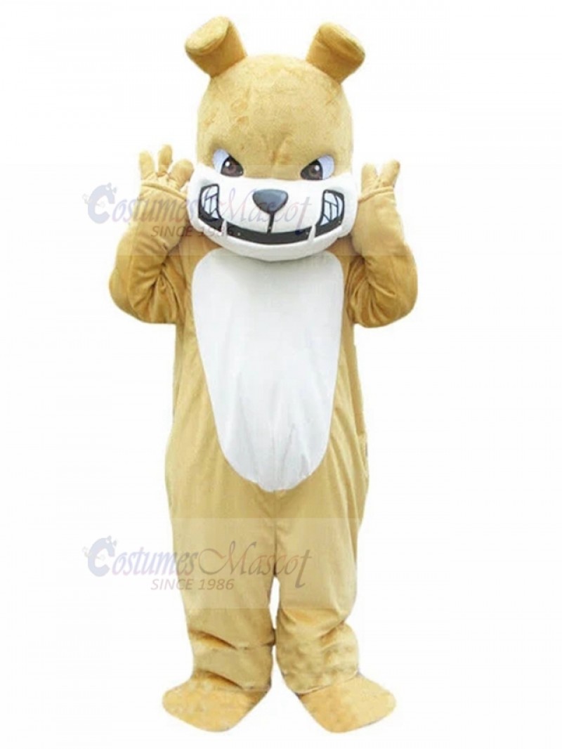 dog mascot costume