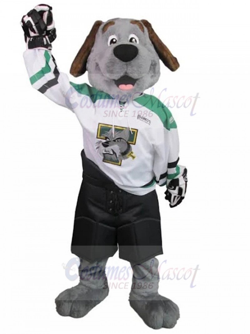dog mascot costume