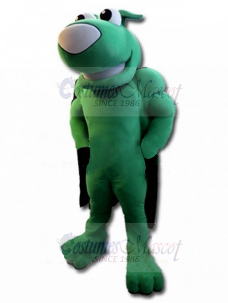 dog mascot costume