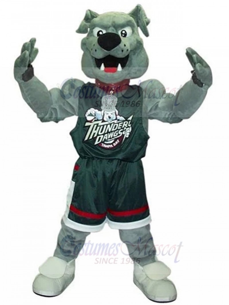 dog mascot costume