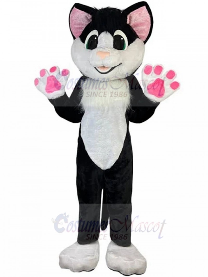 cat mascot costume