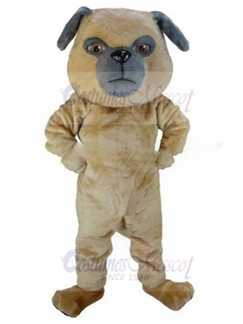 dog mascot costume