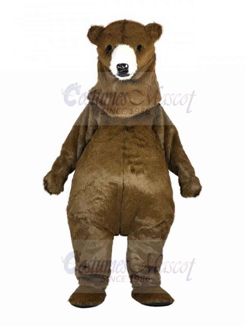 bear mascot costume