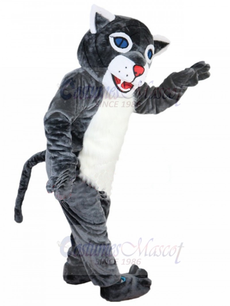 Wildcat mascot costume