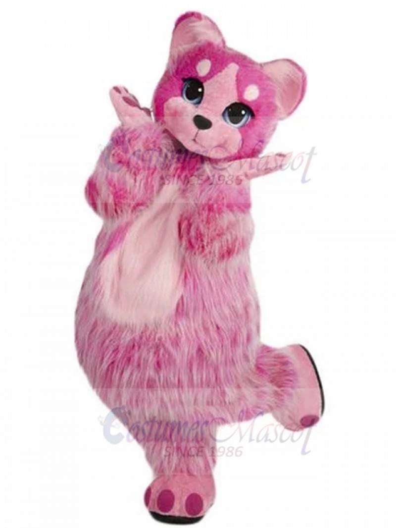 Cat mascot costume