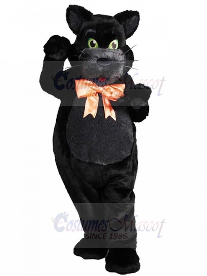 cat mascot costume