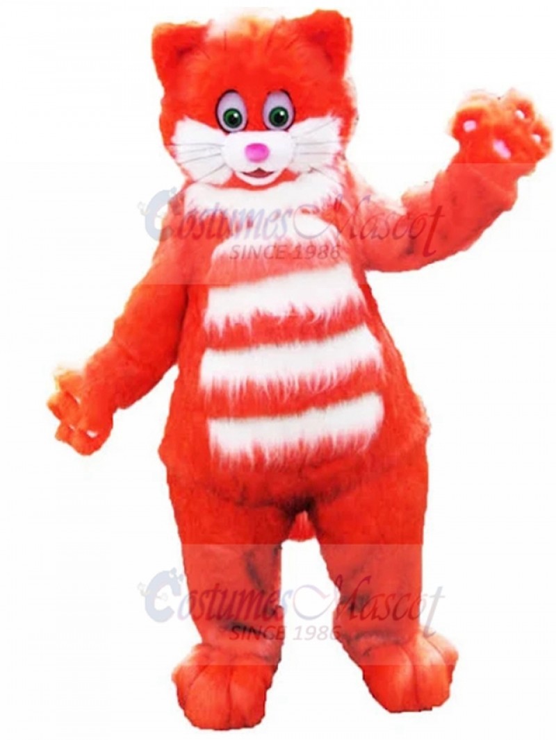 cat mascot costume