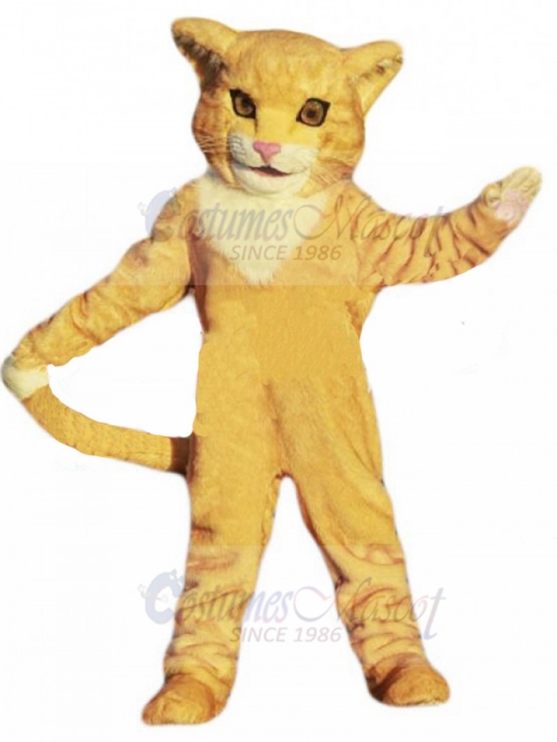cat mascot costume