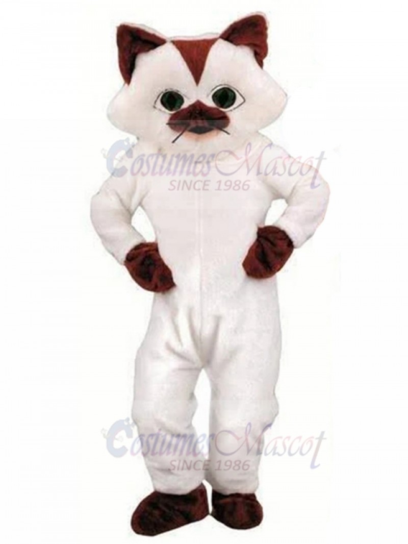 cat mascot costume
