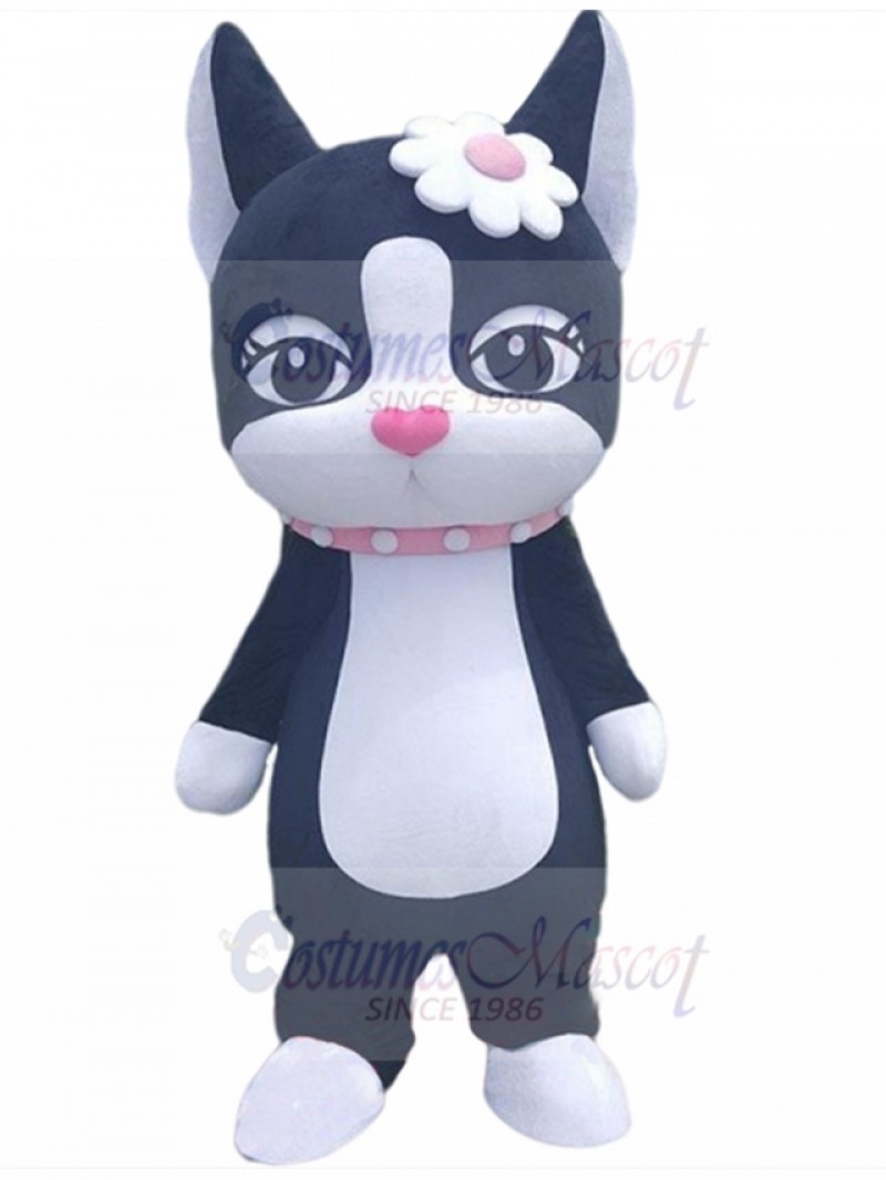 cat mascot costume