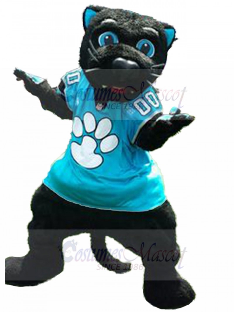 cat mascot costume