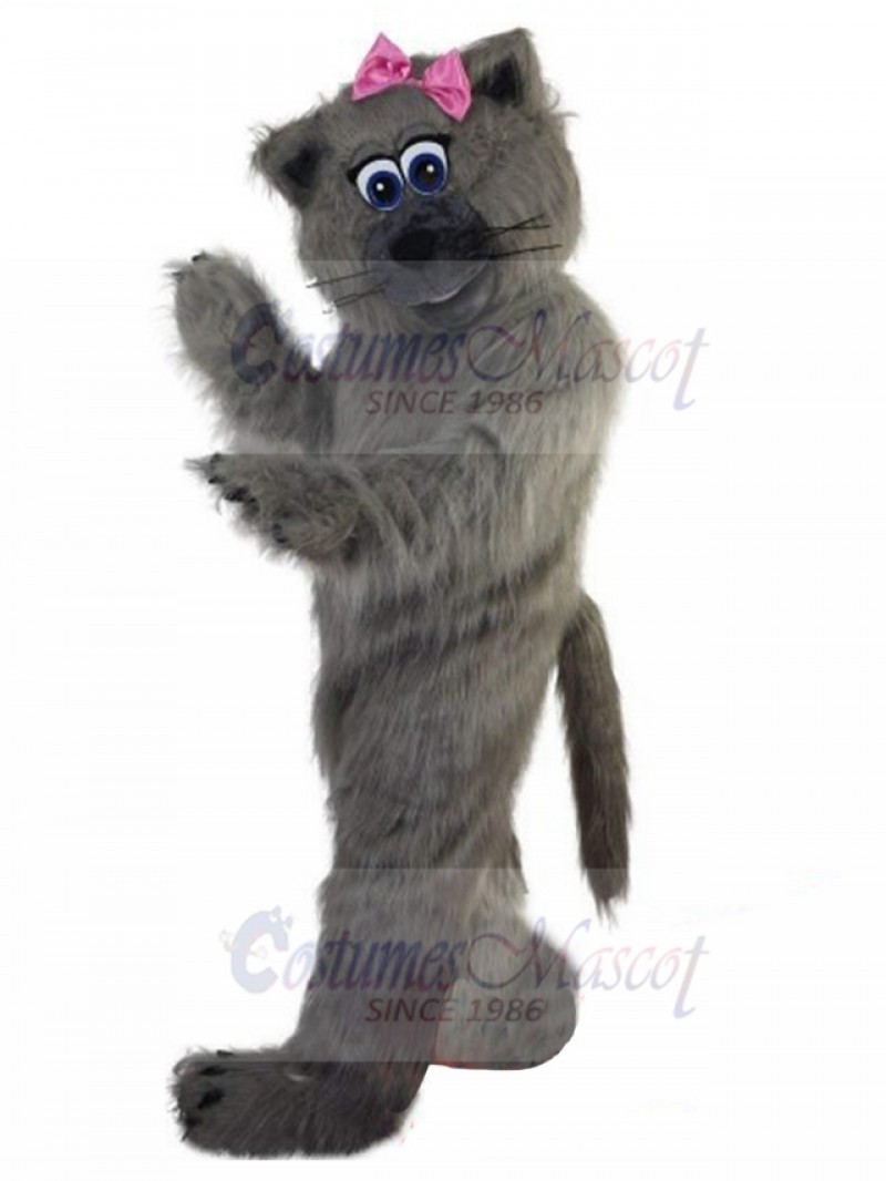 cat mascot costume